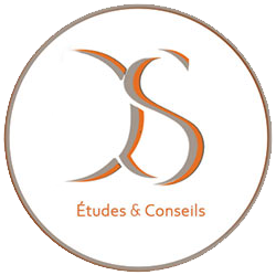 DS Études & Conseils